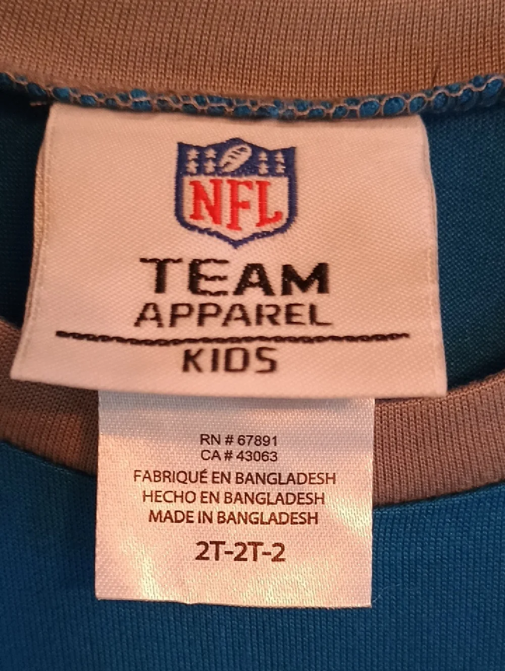 Brand New Detroit Lions Boys/Girls; 2 Piece Pajama Set, Size 2T
